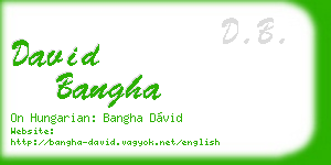 david bangha business card